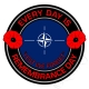 NATO North Atlantic Treaty Organisation Remembrance Day Sticker